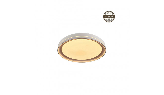 CEILING LAMP LED B2361-1M-R 39CM 30W DIM