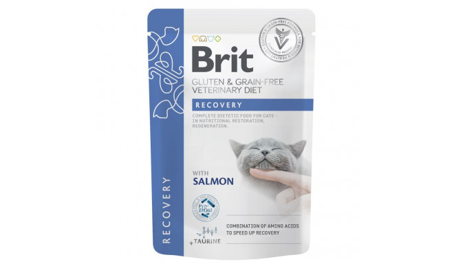 Brit Veterinary Diet Recovery märgtoit kassidele 85g