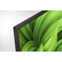 Televizorius SONY KD32W800P1AEP