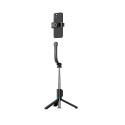 Devia selfie stick Bluetooth tripod C10 black