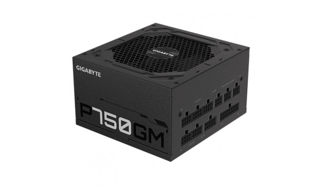 Gigabyte GP-P750GM