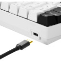 Sharkoon SKILLER SGK50 S4, gaming keyboard (white/black, ES layout, Kailh Red)