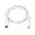 iBox laadija C-37 Lighting