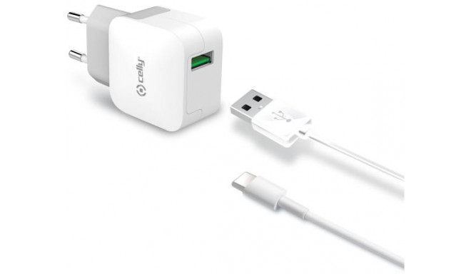 Celly зарядное устройство USB Turbo 2.4A + USB-C кабель