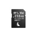ANGELBIRD SD AV PRO MK2 R280/W160 (V60) 256GB | 1 PACK