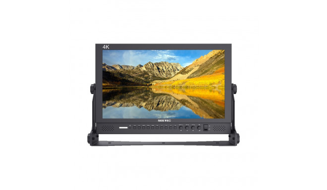 SEETEC MONITOR P173-9HSD 17.3"