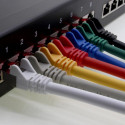 PremiumCord Patch cable UTP RJ45-RJ45 CAT6 1,5m red