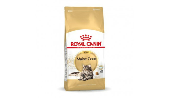 Kaķu barība Royal Canin Maine Coon Adult + 1 gads Pieaugušais Putni 10 kg