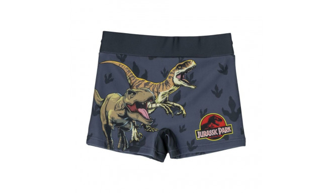 Boys Swim Shorts Jurassic Park Dark grey - 5 Years