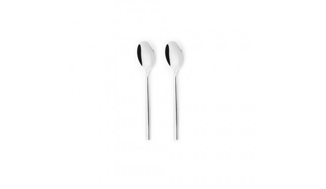 201397 LISA - 2PCS TABLE SPOON