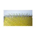 Record brush for cats 12 x 6cm