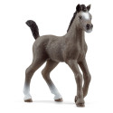 SCHLEICH HORSE CLUB Cheval de Selle Francais Foal