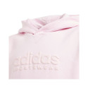Adidas Allszn Gfx HD Jr sweatshirt IN2844 (152cm) Adidas Allszn Gfx HD Jr sweatshirt IN2844 (152cm)