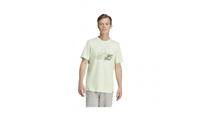 Adidas Illustration Bos M IN6243 T-shirt (XL)