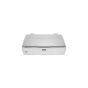 Epson Expression 13000XL Flatbed scanner 2400 x 4800 DPI A3 White
