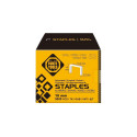 STAPLES 53 TYPE 10MM 5000PCS