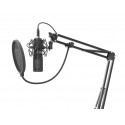 Microphone Genesis Radium 400 studio