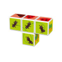 Magicube Printed Insects magnetic blocks + cards 7 pieces GEOMAG GEO-121