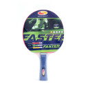 Rakietka do ping ponga SMJ Faster 12201-1