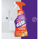 Cleaning agent CILLIT Bang scale and rust remover 750ml spray bottle