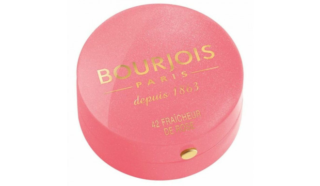 Blush Little Round Bourjois - 095 - rose de jaspe