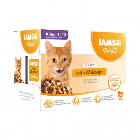 IAMS märg kassitoit Delights kassipoegadele kana kastmes 12 x 85g