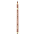 Lūpu lainers Color Riche L'Oreal Make Up - 374-intense plum