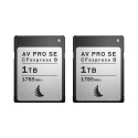 ANGELBIRD CFEXPRESS TYPE B MATCH PACK FOR FUJIFILM AV PRO SE 1 TB  | 2 PACK