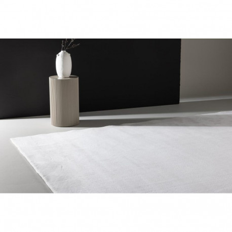 Vaip Nixie 240x350cm, valge