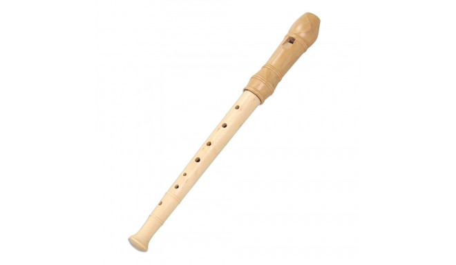 Musical Toy Reig Recorder