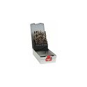 Bosch drill set Pro Box HSS-Co 25pcs (2608587018)