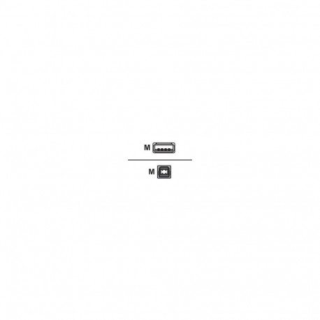 USB 2.0 Kabel, USB-A Stecker > USB-B Stecker (schwarz, 1,0 Meter)
