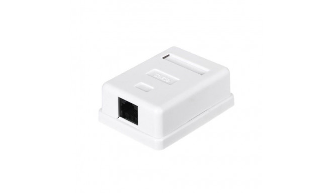 RJ45x1 Jack & Box white