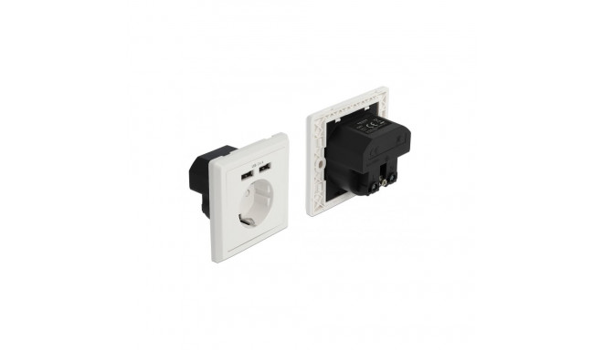 Delock Wall Socket with 2 x USB Type-A Charging Port 2.4 A