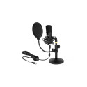 Delock Professional USB Condenser Microphone Set for Podcasting and Gaming