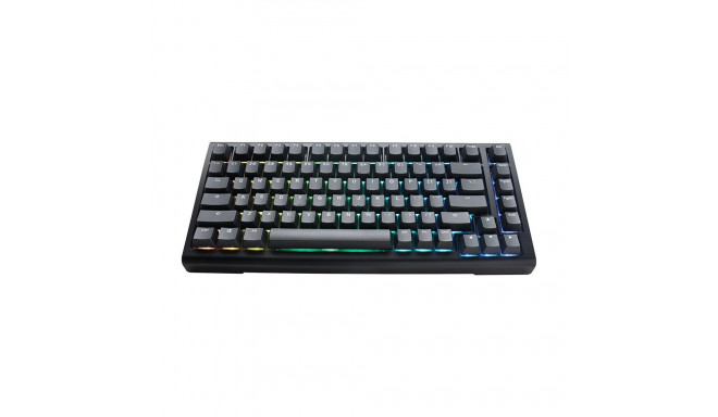 Ducky Tinker 75 klaviatuur Mängimine USB Saksa Must