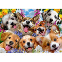 Puzzle Educa Doggy selfie 1000 Pieces