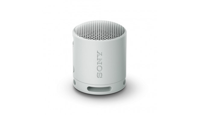 Portable Bluetooth Speakers Sony SRSXB100H.CE7 Grey