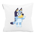 3D cushion Bluey White 30 x 30 cm Squared