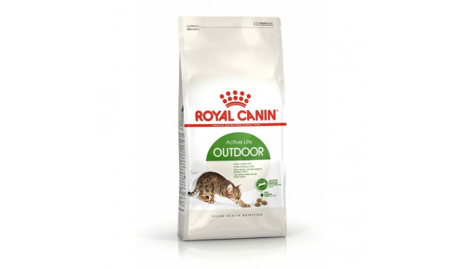 Cat food Royal Canin Active Life Outdoor Adult Birds 4 Kg