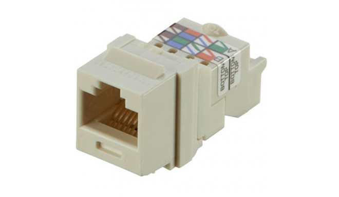 RJ45 Connector Panduit NK6TMIW