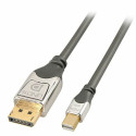 Mini DisplayPort-DisplayPort Adapter LINDY 36311 Hall 1 m