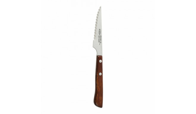 Meat Knife San Ignacio Alcaraz BGEU-2651 Stainless steel 11 cm