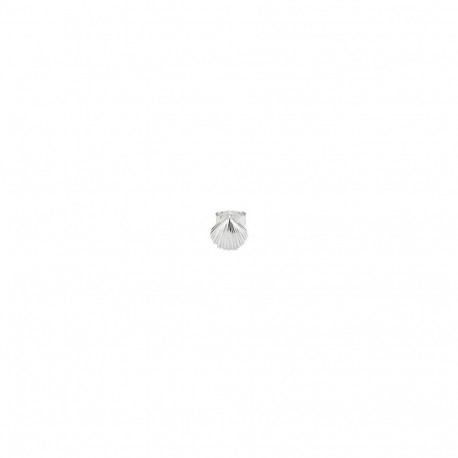 Naiste Kõrvarõngad Radiant RY000147