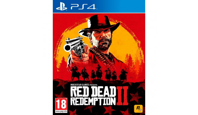 PlayStation 4 Video Game Sony RDR2