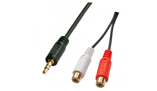 3.5mm (M) - 2xRCA (F) kaabel 0.25m, must