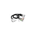 2-Port DVI USB KVM Switch Kit with Audio