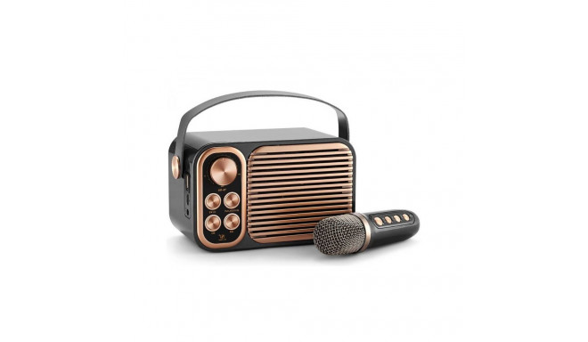 LTC YS-104 Portable Bluetooth Speaker / Karaoke with Microphone