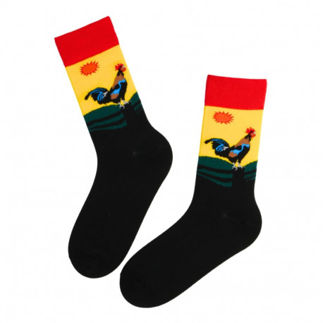 SOKISAHTEL SONNY kukkedega puuvillased sokid 444