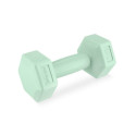 Spokey Monster dumbbells 2x 1 kg SPK-944049 (2x 1kg)